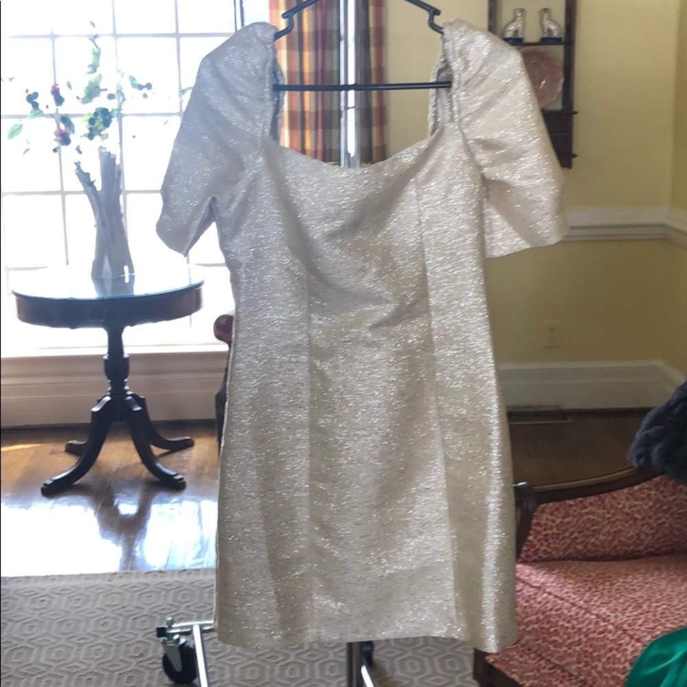 BB Dakota Powder Dress